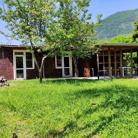 V Gostiakh U Maii Ξενοδοχείο Γκάγκρα Εξωτερικό φωτογραφία